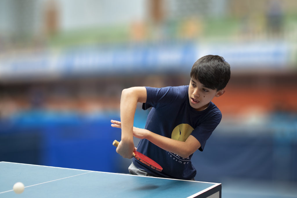 Raquete De Ping Pong Legenda de pino de pino de Tênis de Mesa para adic